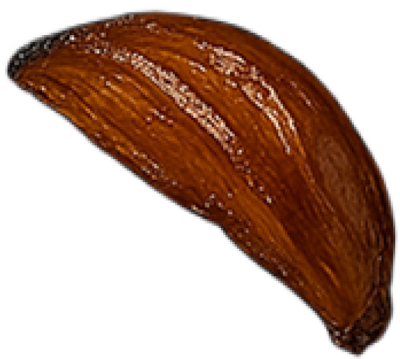 Almond slices cultivated in Newturn highlands, roasted with heat to caramel color #2