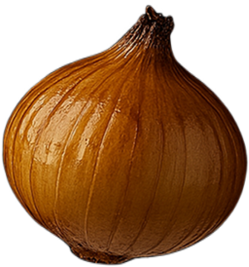 Onion cultivated in closed ecosystem greenhouse within Planet Newturn.